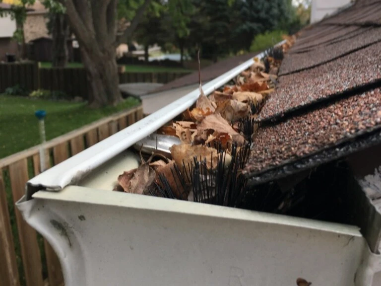 Clogged gutter brush filled with leaves, illustrating gutter debris and cleaning challenges.
